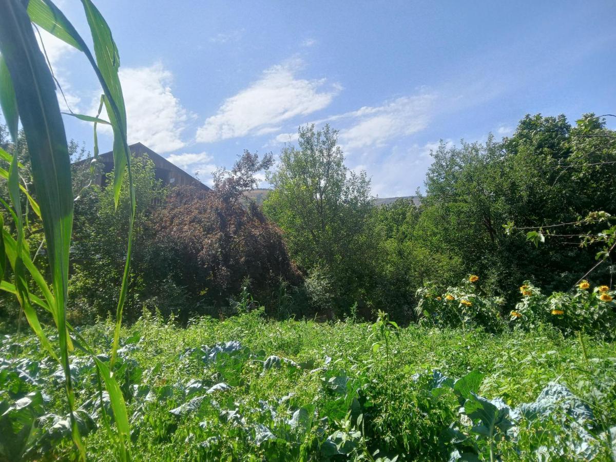 Sofia Ξενοδοχείο Vardzia  Εξωτερικό φωτογραφία