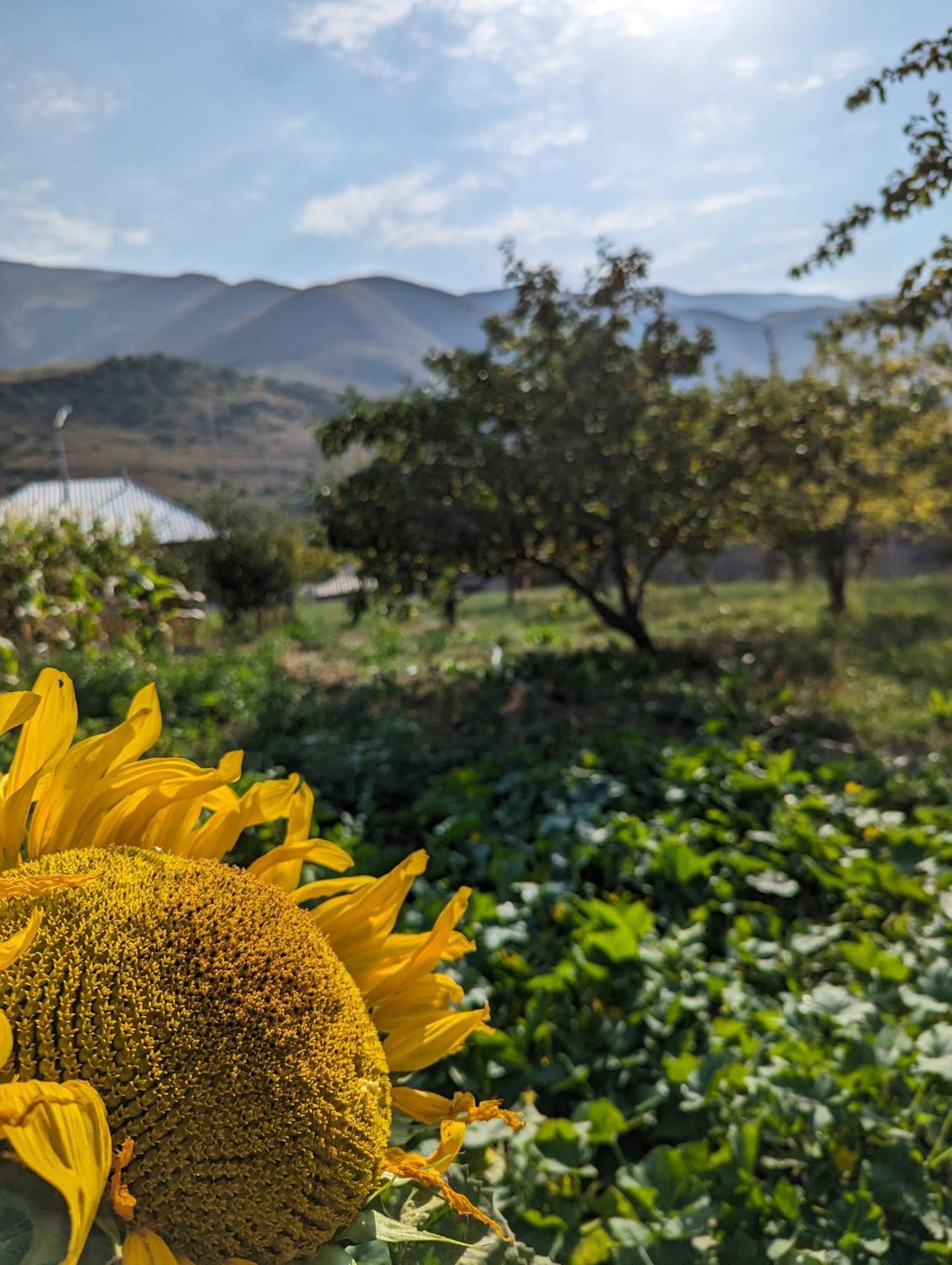 Sofia Ξενοδοχείο Vardzia  Εξωτερικό φωτογραφία